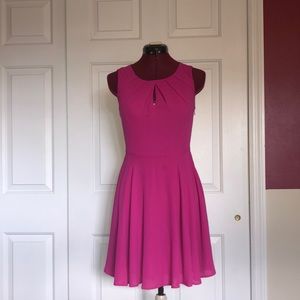 Express  |  Pink Skater dress